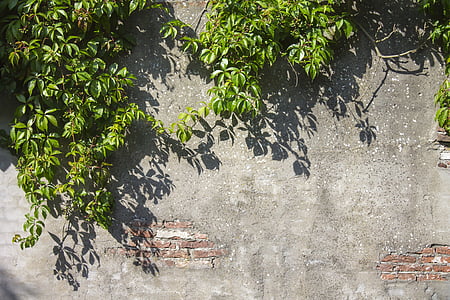 stone, stones, old, vintage, wall, old wall, texture