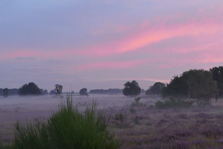 natuur, landschap, ochtend mist, Heide, zonsopgang, lucht, ochtend