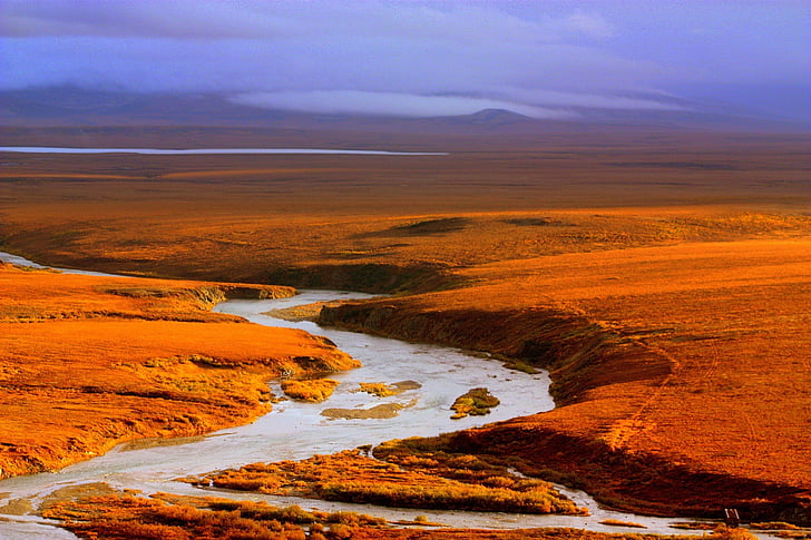 landskab, naturskønne, Pilgrim floden, Alaska, USA, Seward peninsula, national park