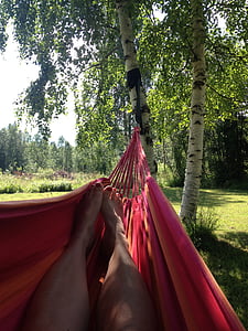 summer, holiday, hammock, rest, birch, nature, outdoors