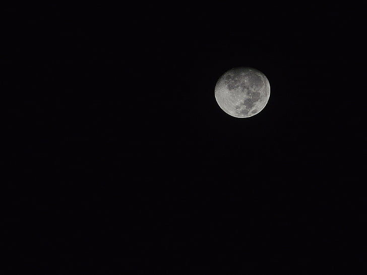 Księżyc, noc, miejsca, szary, astronomia, powierzchni Księżyca, Moonlight