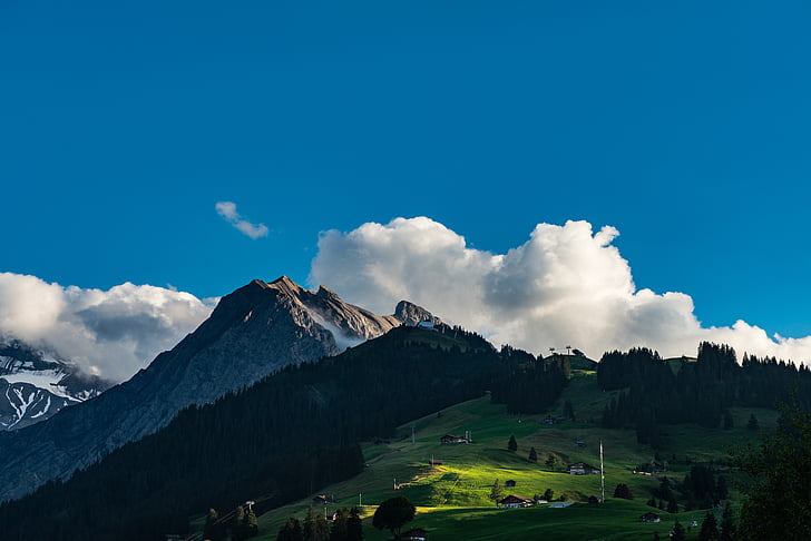 trees, mountain, highland, green, grass, nature, landscape