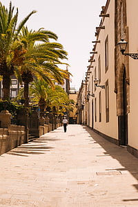 homme, portant, blanc, chemise, noir, Jeans/Pantalons, Espagne