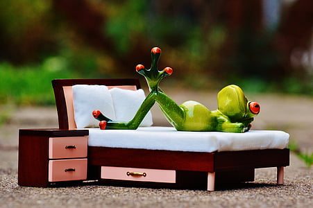žaba, láska, myšlienky, posteľ, obrázok, smiešny, milý