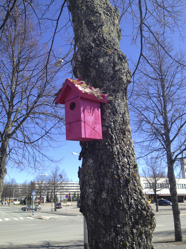 lind, kauss, puu, turu, Soome, filiaalid
