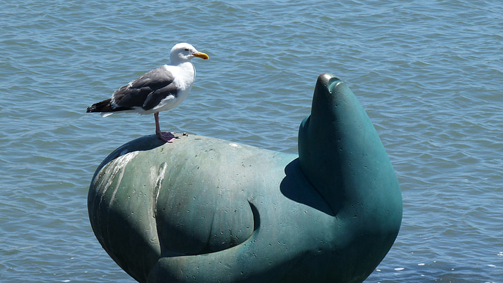 Seagull, sello, estatua de, Playa