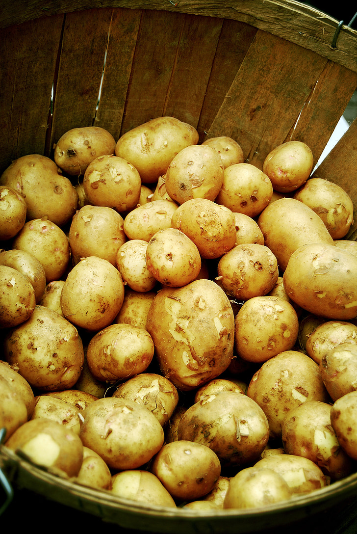 potatoes, vegetable, potato, crop, farmer, market, nature