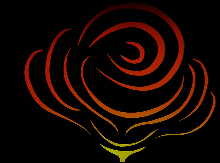 flower, rose, contour, color, outlines, silhouette