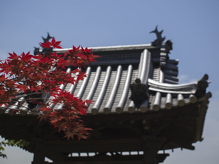 Japonska, tempelj, potovanja, tradicijo
