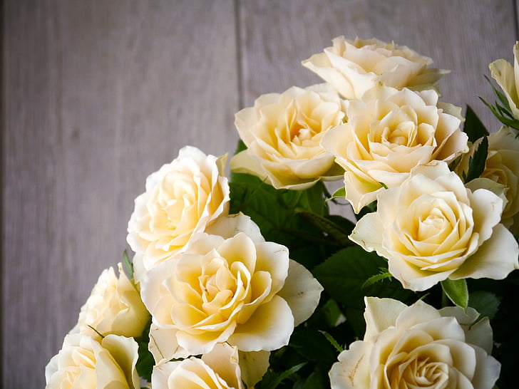 ruže, Kytica ruží, Kytica, biela, žltá, pohľad zhora, romantické