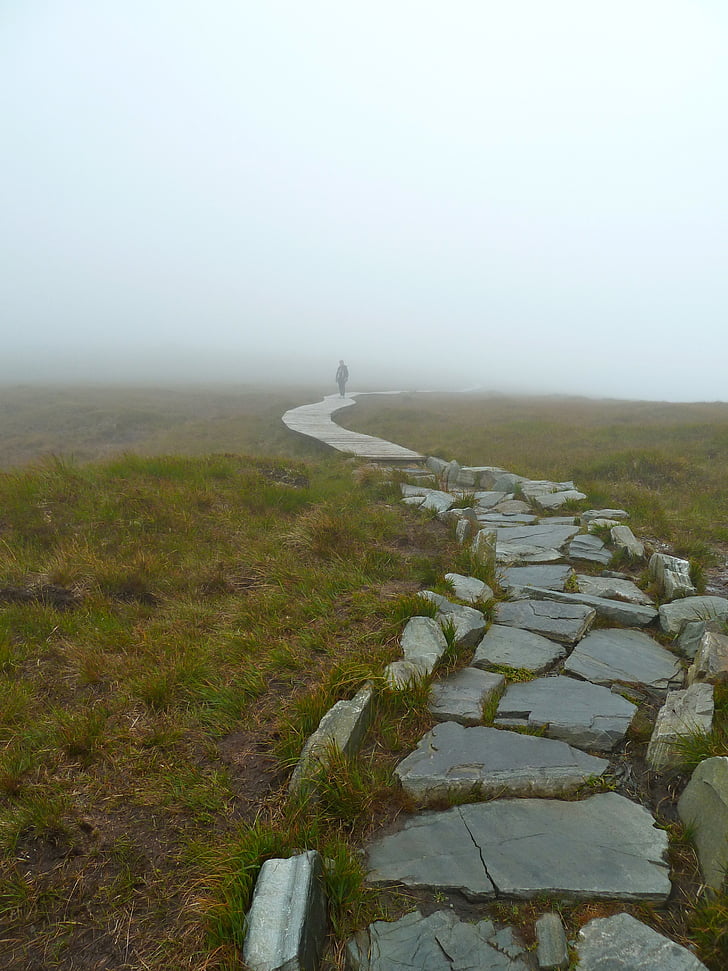 misty, fog, walk, pathway, rock walkway, nature, ground