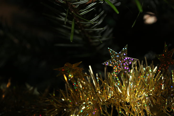 Nadal, estrella, fons, d'or, adveniment, temps de Nadal, arbre de Nadal