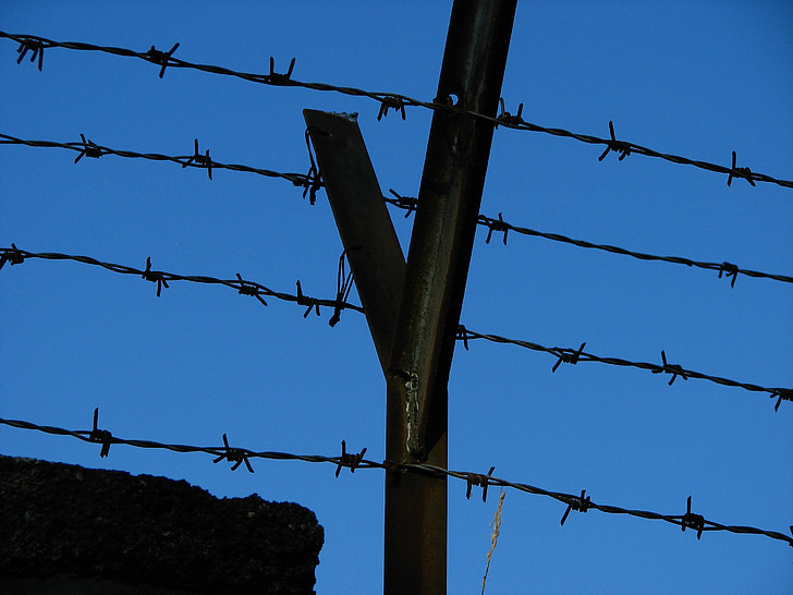 Wire, pigtråd, hegnet, fanget, pegede, Sky, Thorn