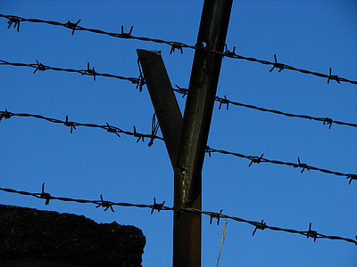 wire, barbed wire, fence, caught, pointed, sky, thorn