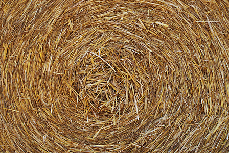hay, yellow, nature, campaign, italy, wheat, straw