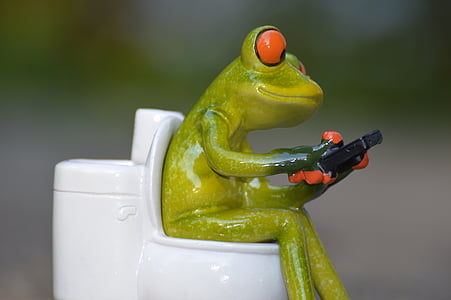 ếch, điện thoại di động, nhà vệ sinh, Loo, WC, Buồn cười, Phiên làm việc