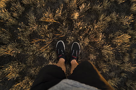 piedi, erba, gambe, uomo, persona, scarpe