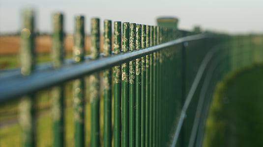 clôture, vert, sans fin, barrière, grille, frontière, clôturé