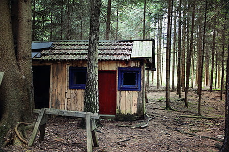 hut, forest, log cabin, forest lodge, old, neglected, rest house
