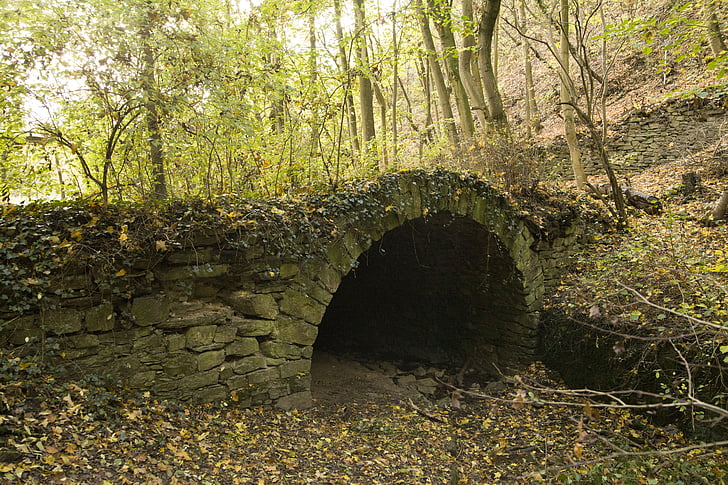 tunnel, Forest, sentier, Lahnstein, ruppertsklamm