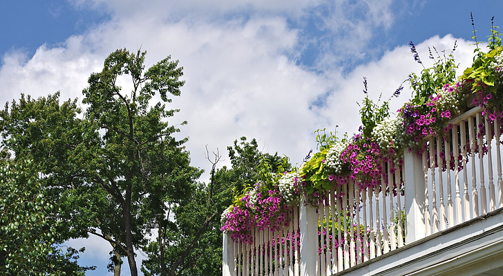 balkon bunga, Taman, pertengahan musim panas, di luar rumah, alam
