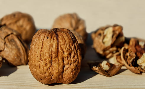 walnut, nut, brown, fruit bowl, snack, delicious, healthy