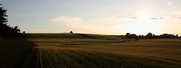 landscape, summer, natural, mark, grain, sunset, evening