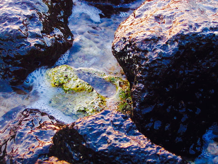 Tide pool, oever, Oceaan, water, Rock, natuur, steen