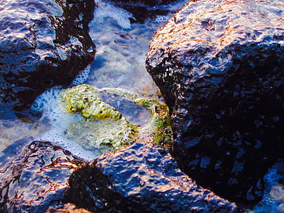 tide pool, shore, ocean, water, rock, nature, stone