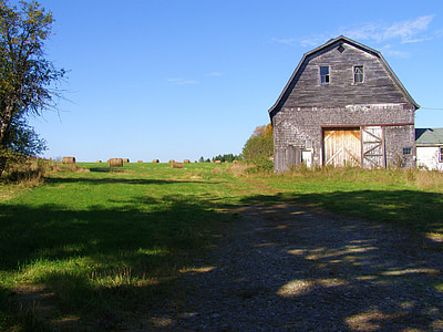 field, old, barn, rural, agriculture, nature, country