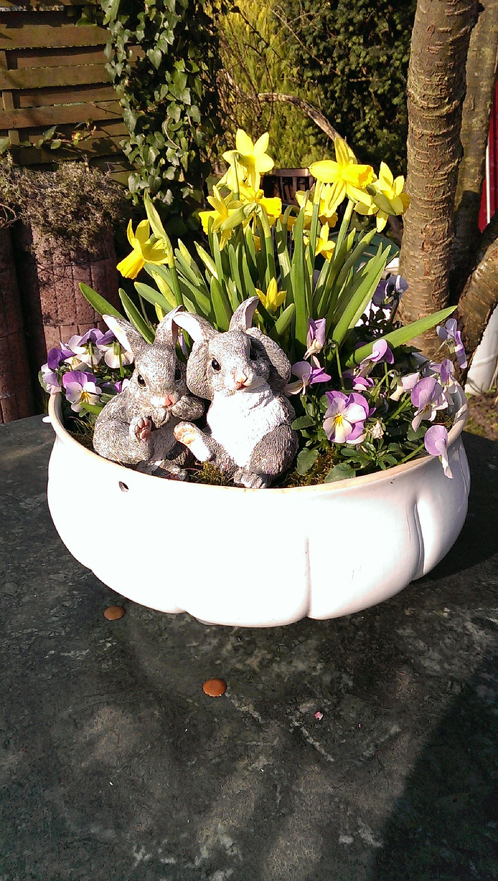flowerpot, daffodils, yellow, rabbit, easter, decoration, purple