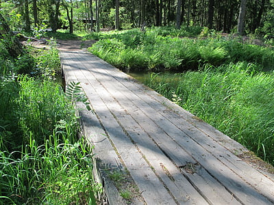 мост, langinkoski, Финландски, орел, природата, гора, пешеходна пътека