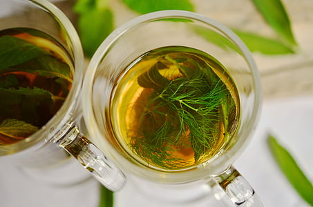 herbal tea, herbs, tee, fennel, mint, sage, aroma