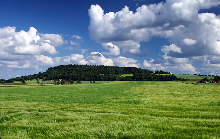 Švédsko, krajina, malebný, Hills, obloha, mraky, pole