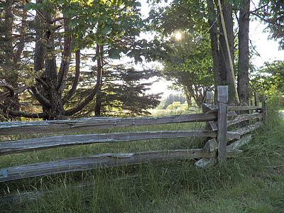 rail, rail fence, wooden fence, fences, meadow, grass, field