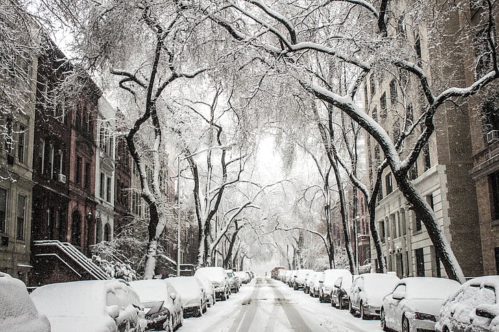 sneeuw, Straat, herenhuizen, stad, stedelijke, winter, residentiële