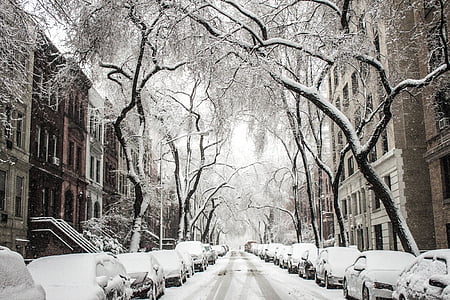 sniega, iela, townhouses, pilsēta, pilsētas, ziemas, dzīvojamo
