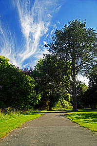 path, way, tree, trees, nature, green, grass
