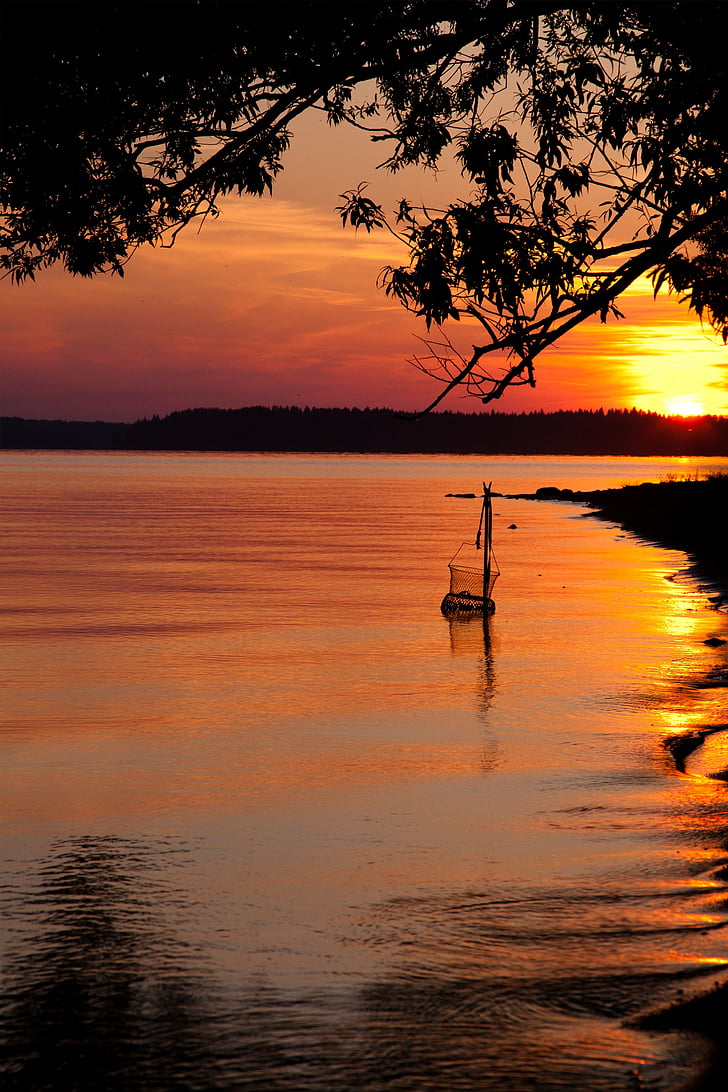 sunset, fishing, lake, evening shore, nature, body of water, silhouette