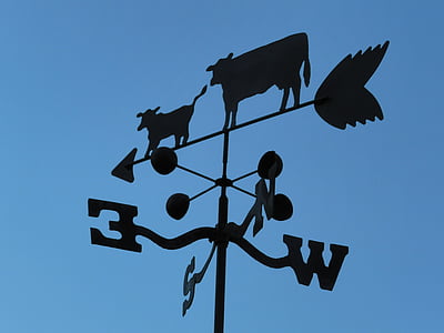ลม, weathervane, วัว, ลูกศร, ใบพัด, เป่า, สภาพอากาศ