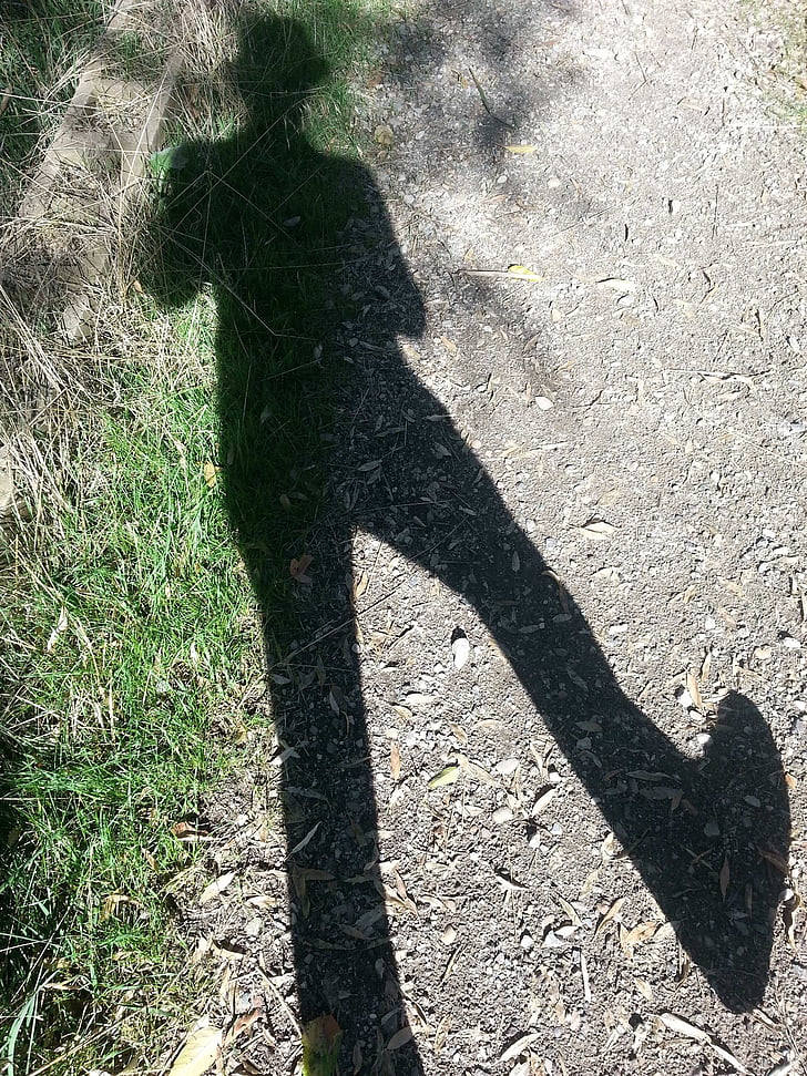 shadow, walk, walking, outdoors