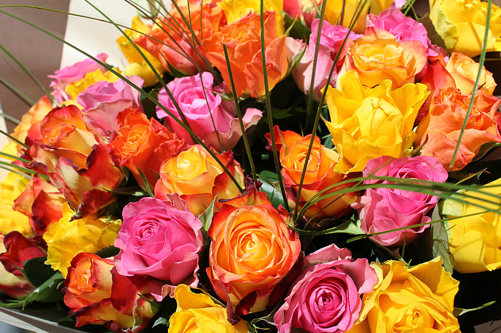 bukiet, kwiaty, róże, pomarańczowy, różowy, prezent, Latem