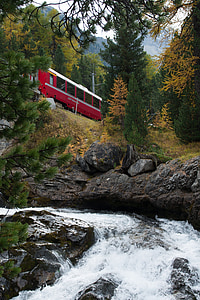 Graubünden, RhB, hösten, skogen, Bach