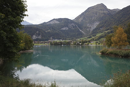 Suisse, Rungan, Lac, réflexion, montagne, vert, automne