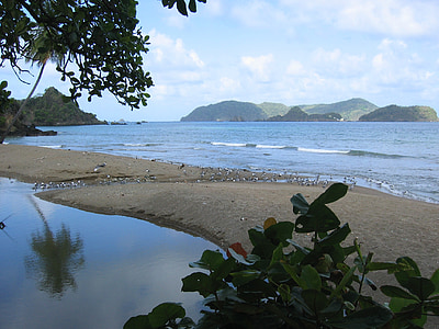 landscape, caribbean, water, sea, beach, sand, nature
