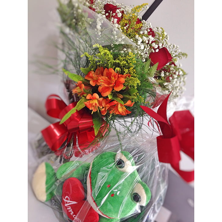 fleur, grenouille, amour, Christmas, décoration, cadeau, rouge
