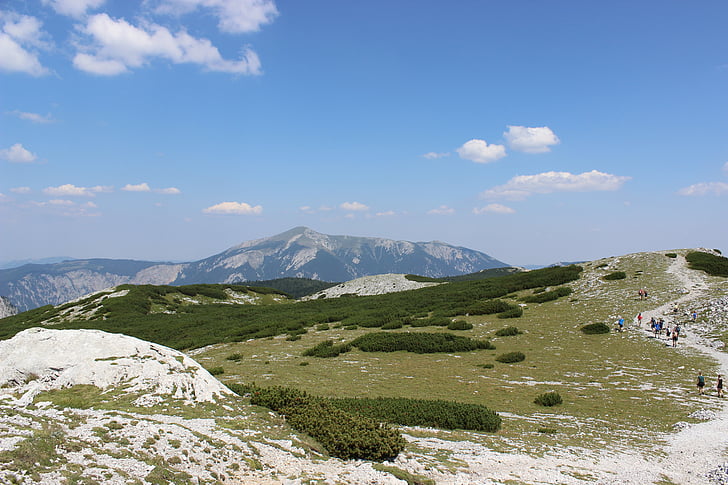 Rax, Áustria, montanha, natureza, Verão, paisagem, ao ar livre