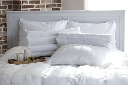 travesseiro, quarto, Libélula, colcha, cor branca, cama, dentro de casa