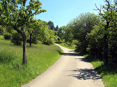 Prat, distància, caminada, Suïssa de Francònia, arbre