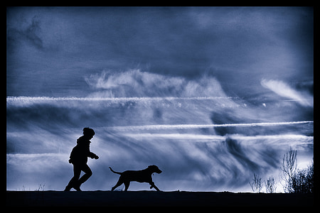man and dog, silhouette, weimar run